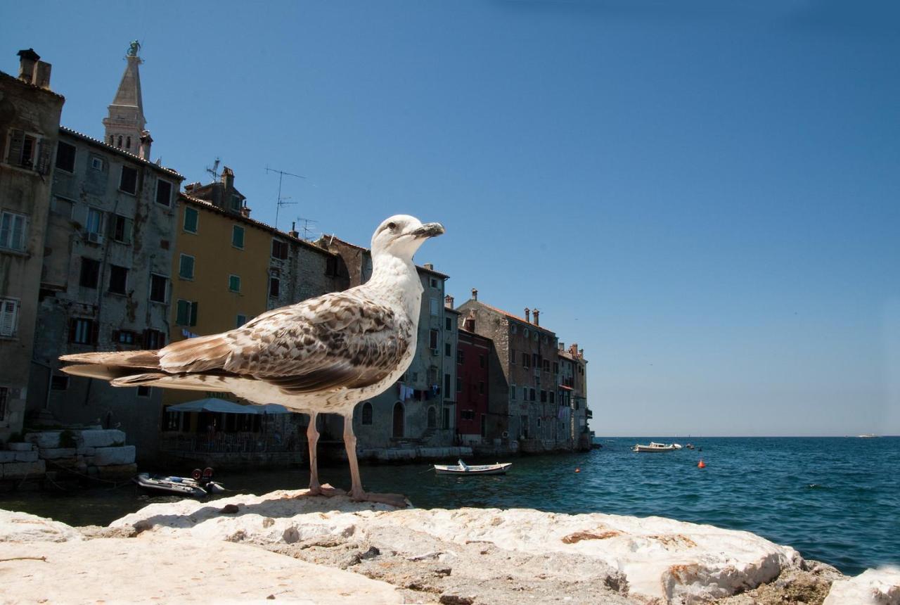 Maximus Apartment Rovinj Exterior photo